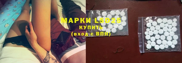 дживик Пересвет