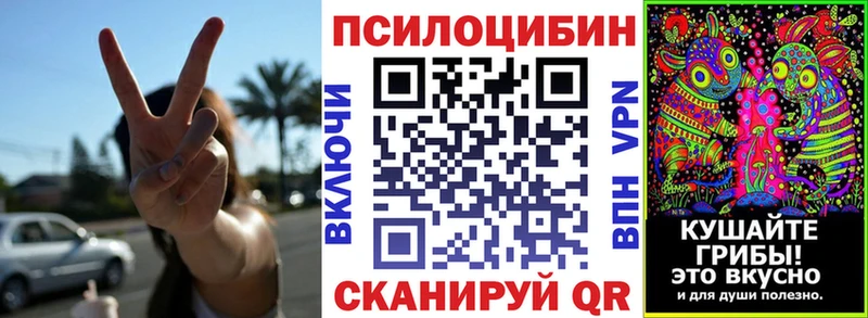 даркнет сайт  Новосиль  Галлюциногенные грибы мицелий 
